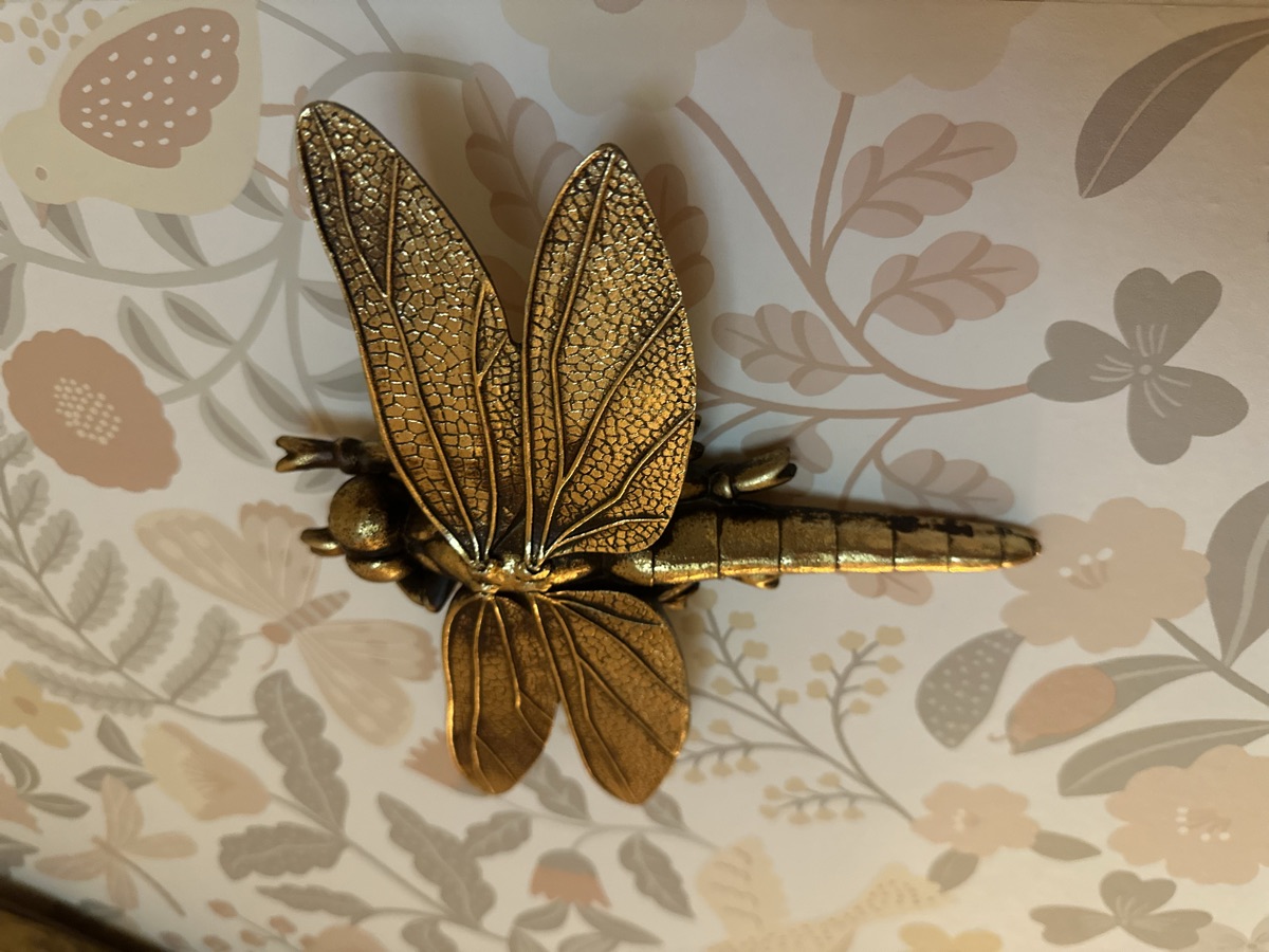 Libellule dorée au mur du salon